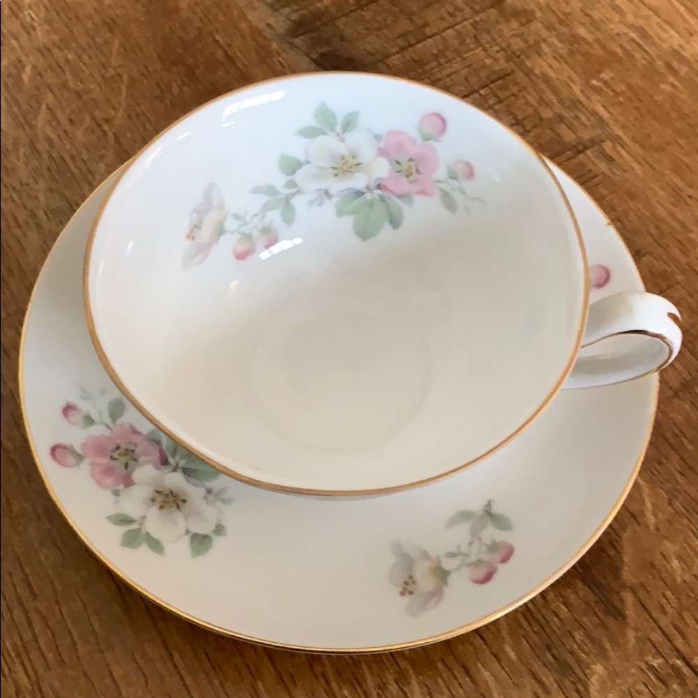 Tirschenreuth Apple Blossom Cup and Saucer